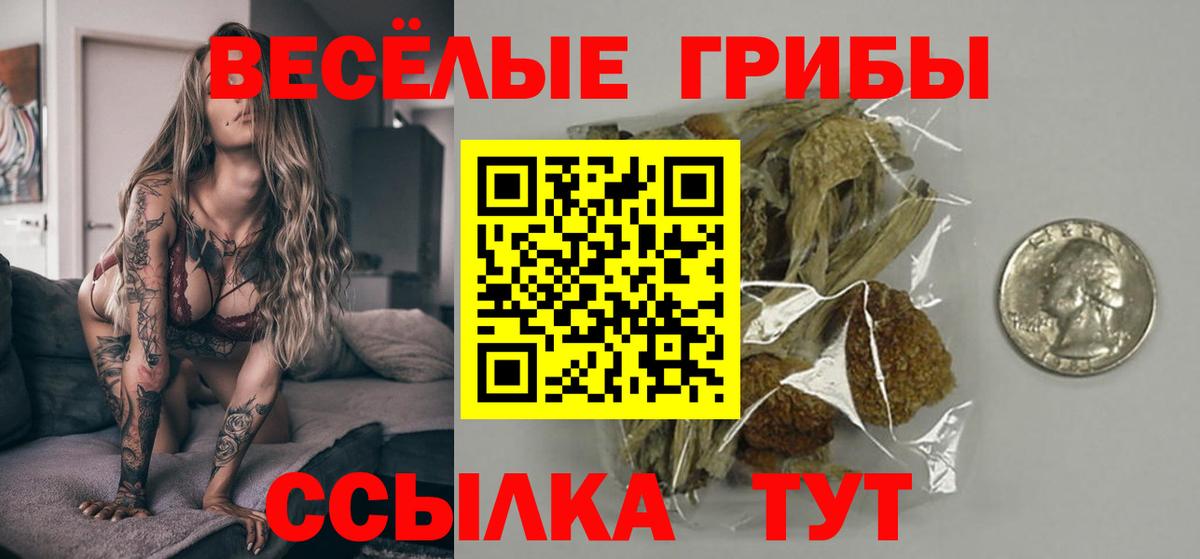 Галлюциногенные грибы ЛСД Видное