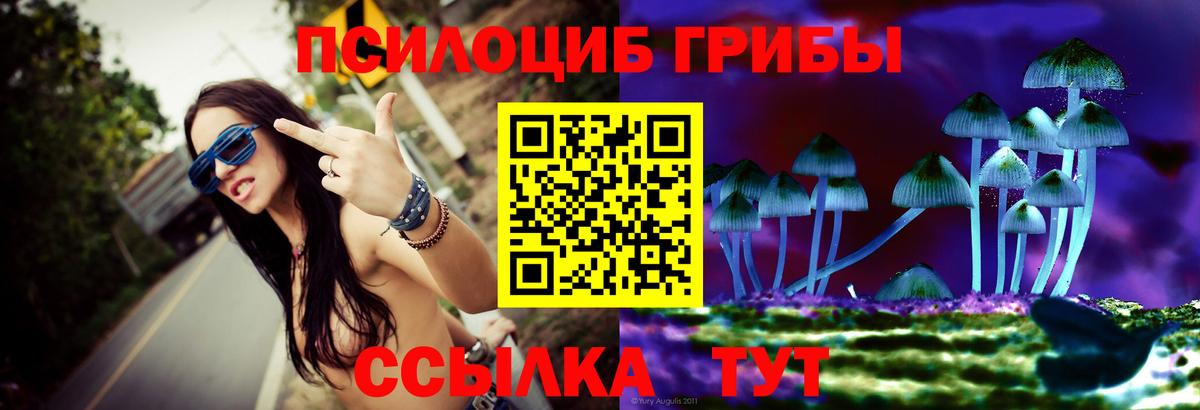 Видное  Галлюциногенные грибы Psilocybine cubensis  Вход с VPN 